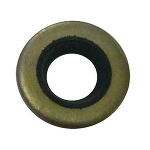 Oil Seal