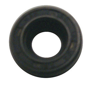 Oil Seal