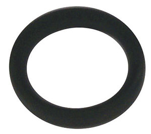 Oil Seal