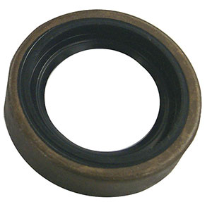 Oil Seal