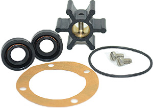 Johnson Pump 09-45589 Service Kit For F35B-8/8007