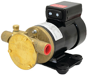 Flexible Impeller Dc Driven Pump, Bronze Body