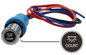 Bluewater 19mm Switch and 12 Inch Harness with Court Lights Laser Logo, On / Off Function