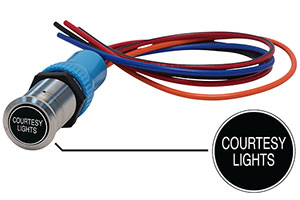 Bluewater 22mm Switch and 12 Inch Harness with Courtesy Lights Laser Logo, On / Off Function