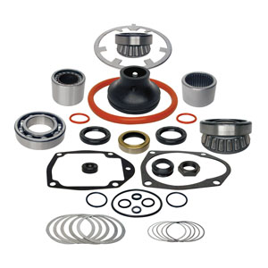 Lower Unit Seal & Bearing Kit 31-803094T1