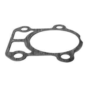 Pump Gasket