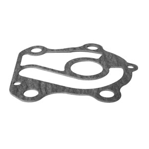 Pump Gasket