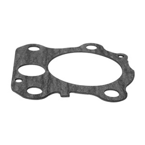 Pump Gasket