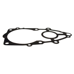 Pump Gasket