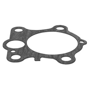 Pump Gasket