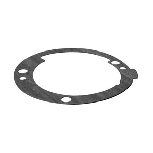 Pump Gasket