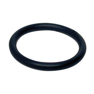 O-Ring 25-30613