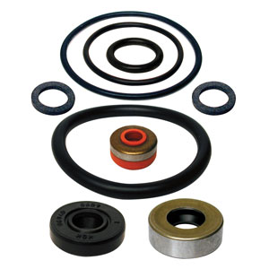 Gear Case Seal Kit