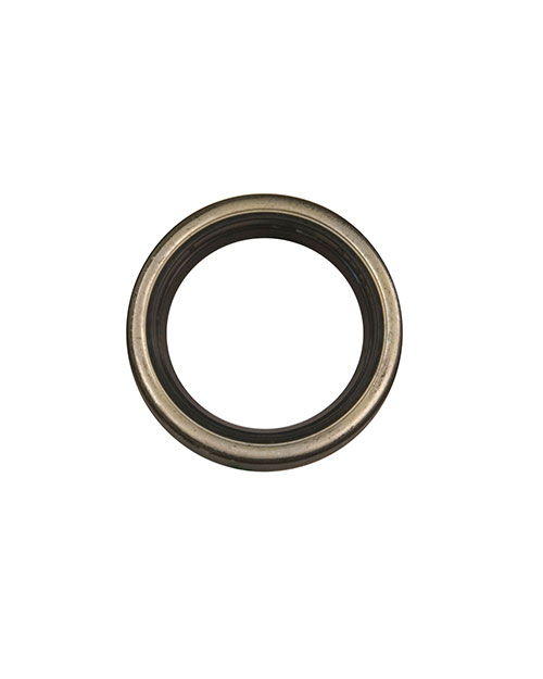 Oil Seal