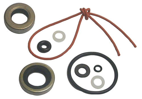 Lower Unit Seal Kit