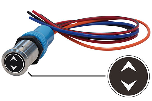 Bluewater 22mm Switch and 12 Inch Harness with Up/Down Laser Logo, Momentary On / Momentary On / Off Function