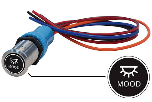 Bluewater 22mm Switch and 36 Inch Harness with Mood Lights Laser Logo, On / Off Function