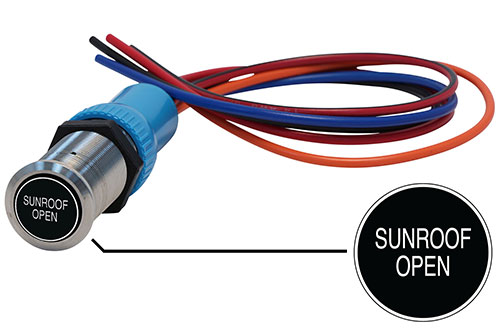 Bluewater 22mm Switch and 12 Inch Harness with Sunroof Open Laser Logo, Momentary On / Off Function