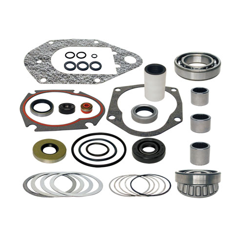 Seal & Bearing Kit 31-803495T1