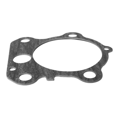 Pump Gasket