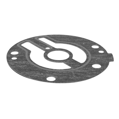 Pump Gasket