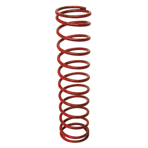 Valve Spring